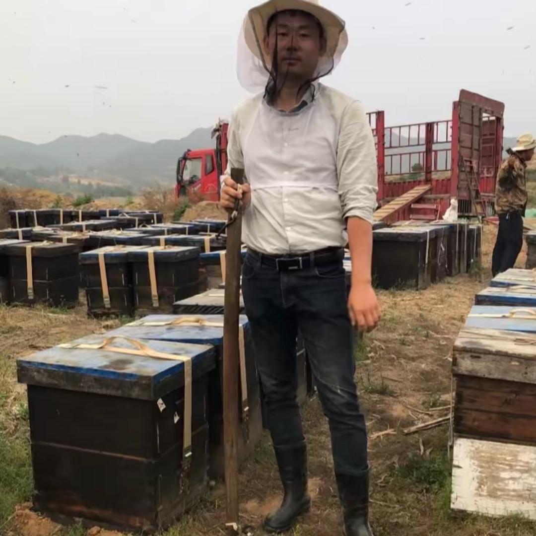 养蜂小小哥