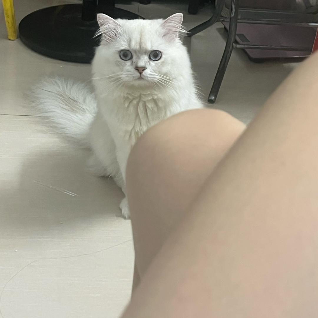 子非鱼🐟