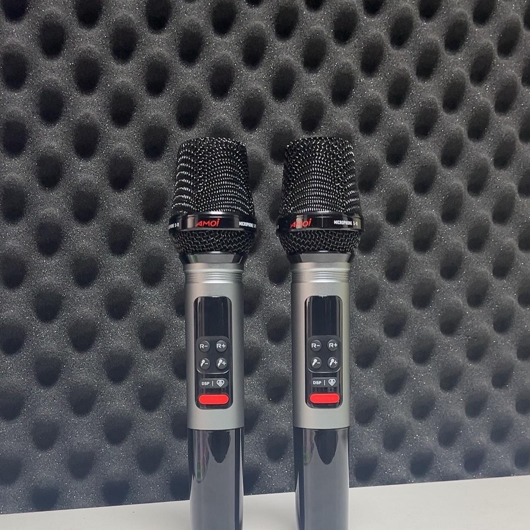 皮皮猴专营店mic