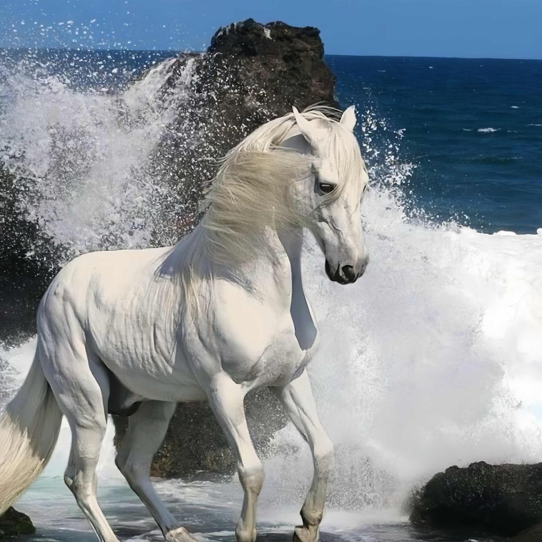 如初ㅤ     ㅤㅤ