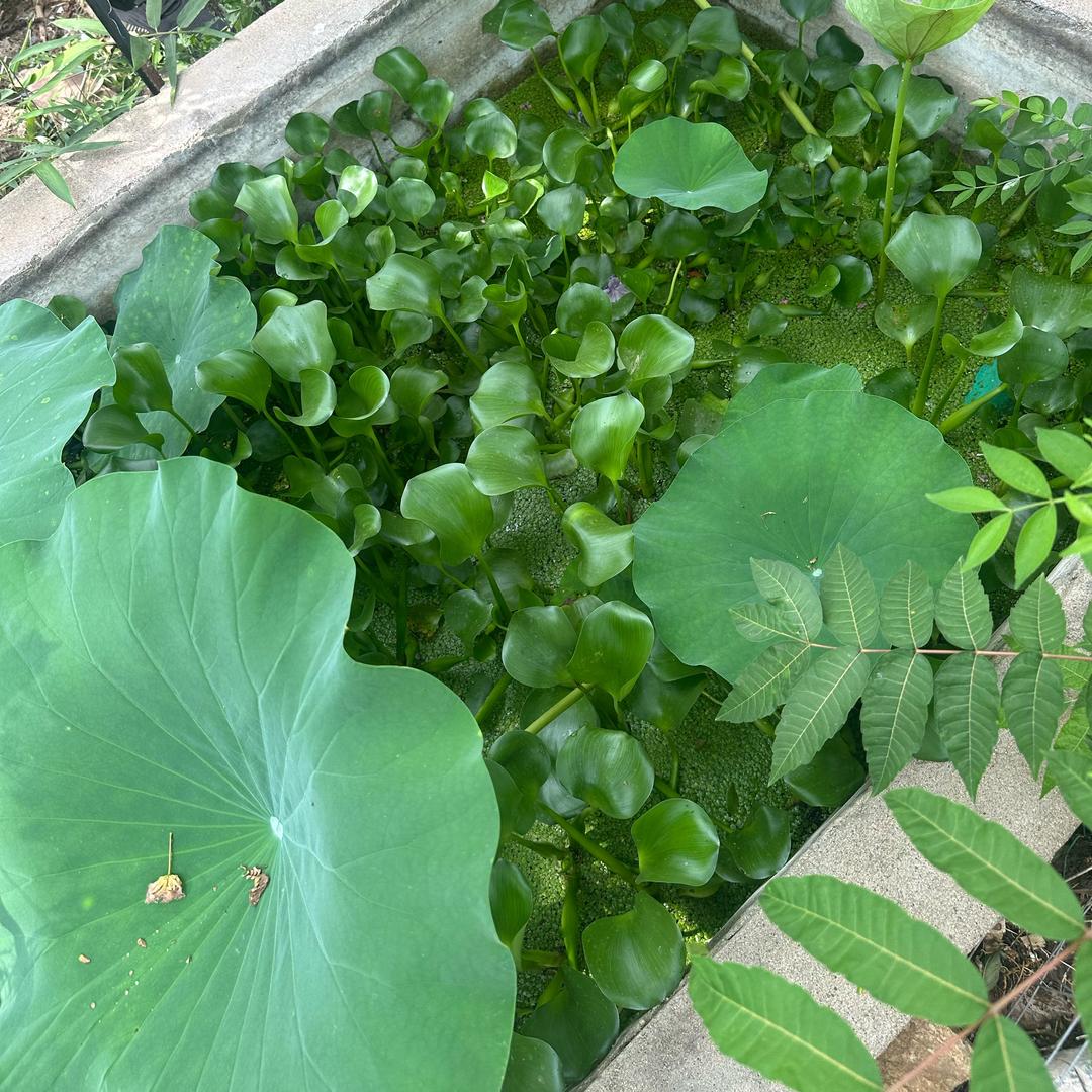 【-（5️⃣……$】