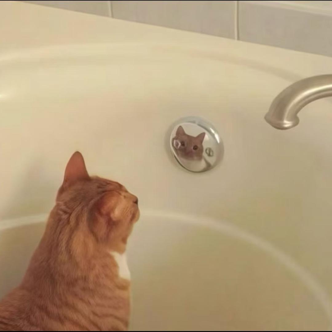 小狗