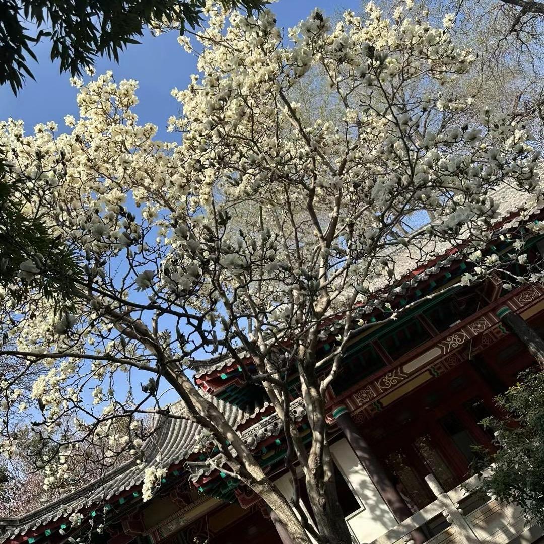 最初的梦想