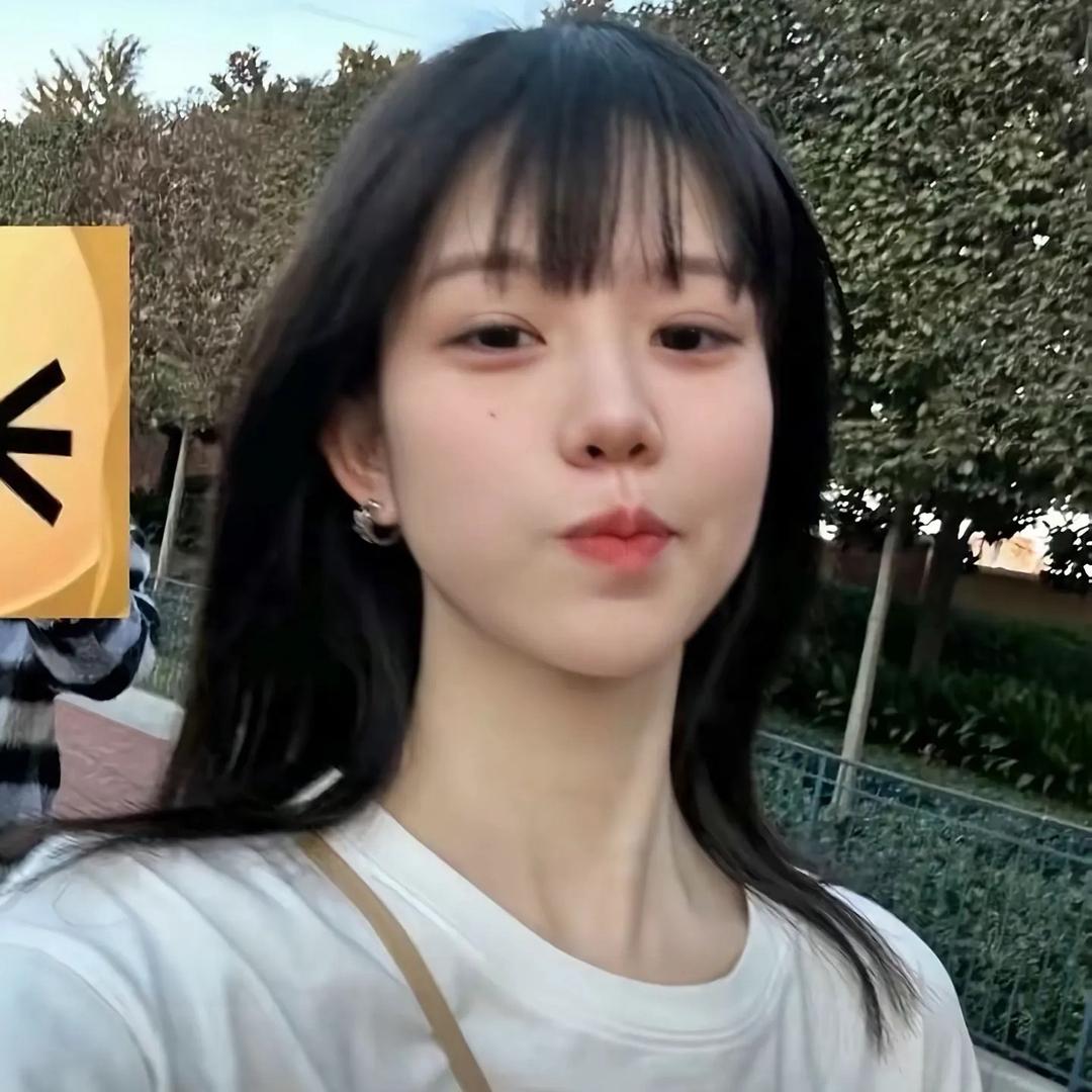 刀刀刀刀