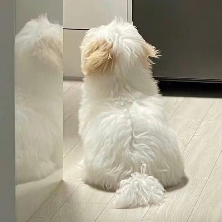 啊吖☞