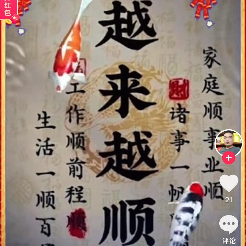 孙家泡馍纸包鱼/机场附近