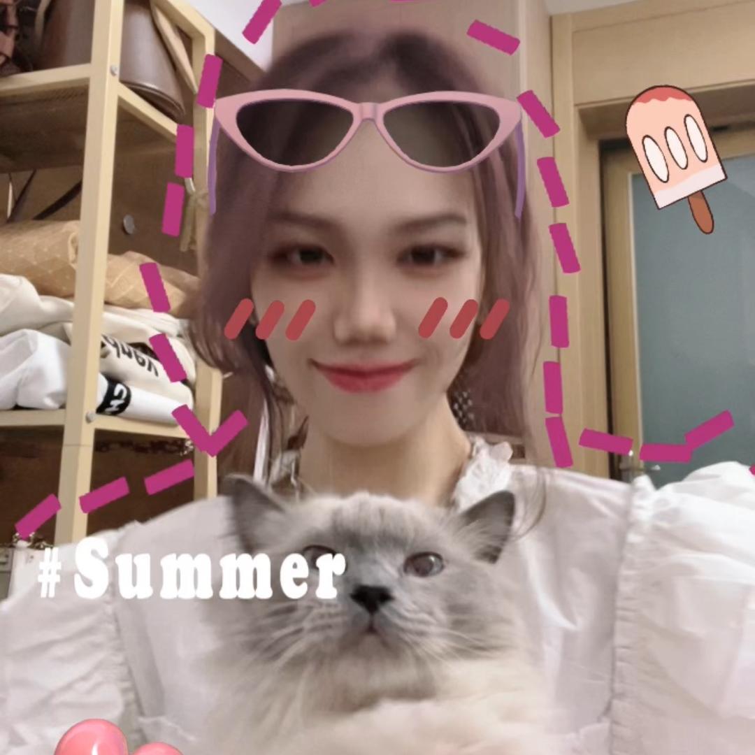 猪猪的猫🐈‍⬛