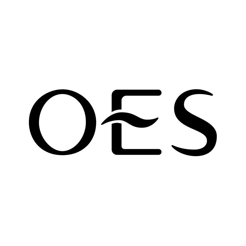 OES美容仪旗舰店