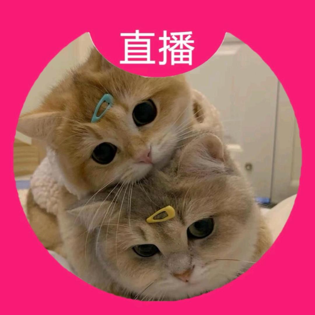 蛋仔派对印度小吃