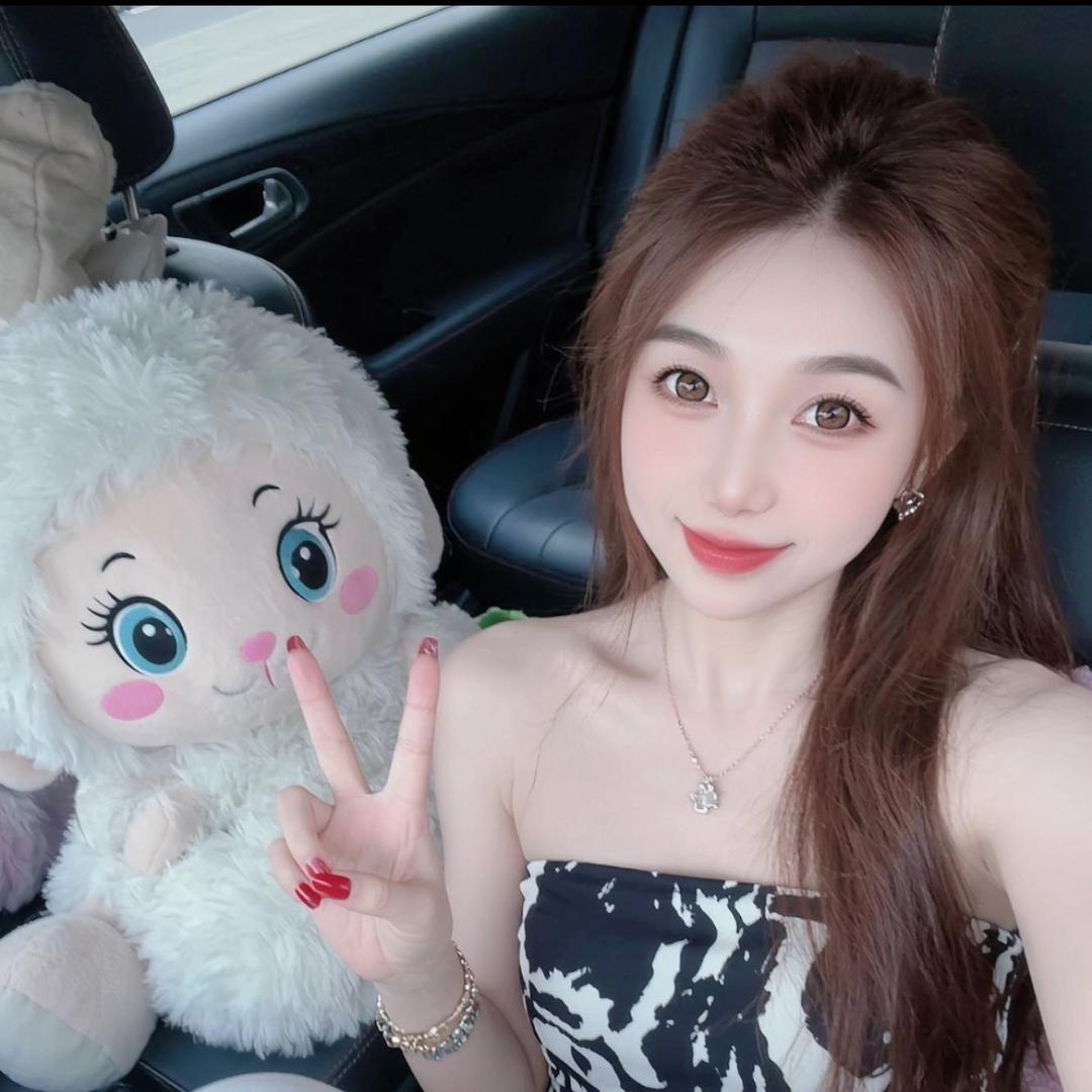 一颗鑫☼