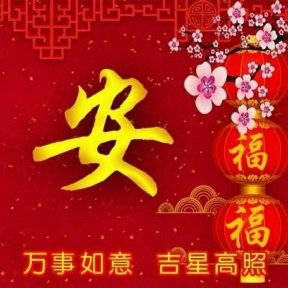 偏安一隅🦋