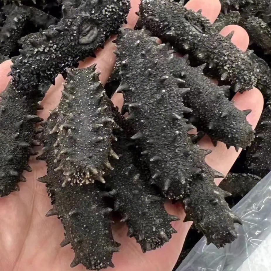 参殿下海参工厂