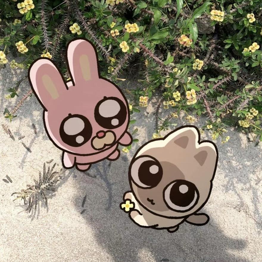 夏季芭乐