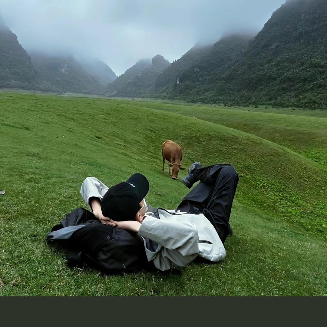 辰辰呀