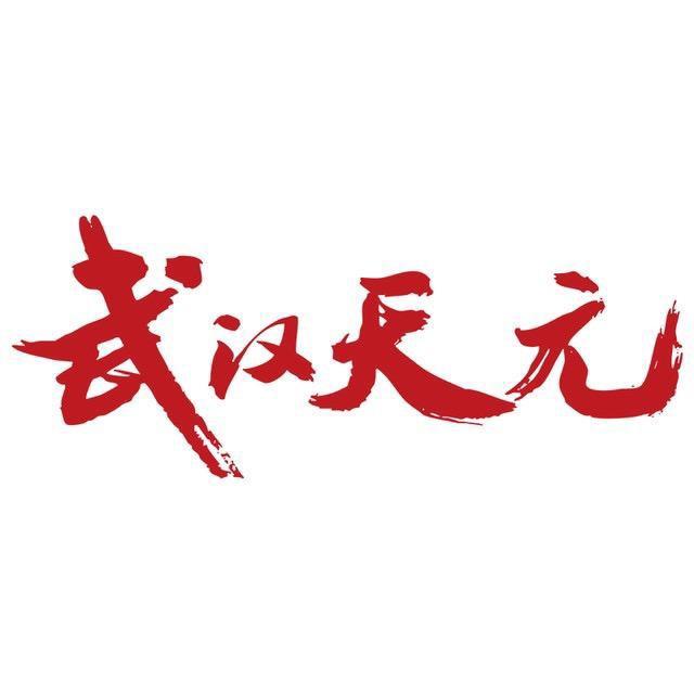 武汉天元上海
