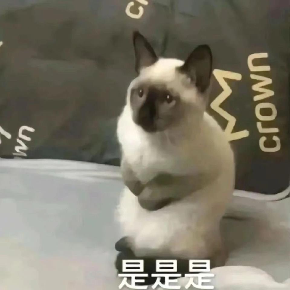 橘柚大王