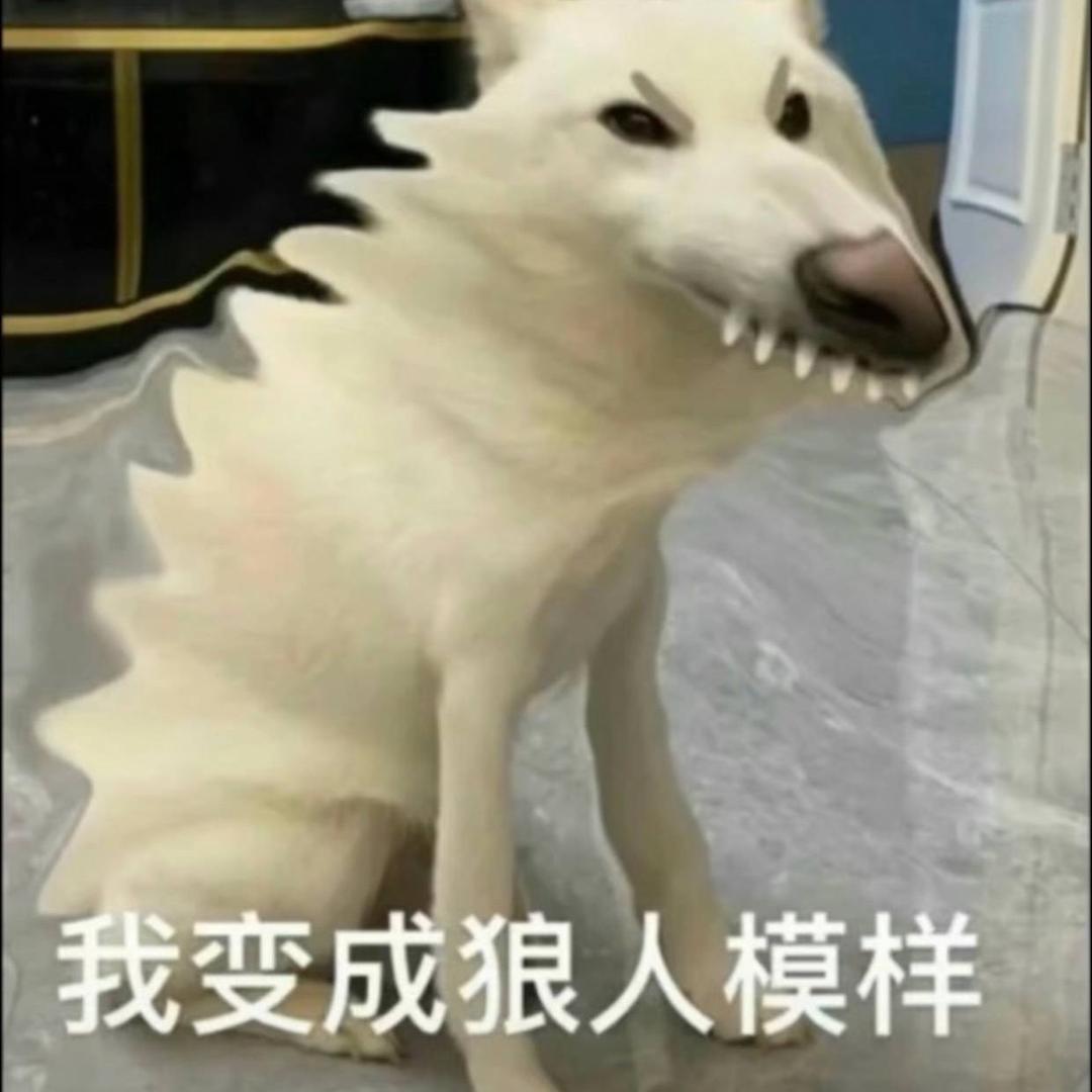 哈哈哈哈哈哈美少女战士