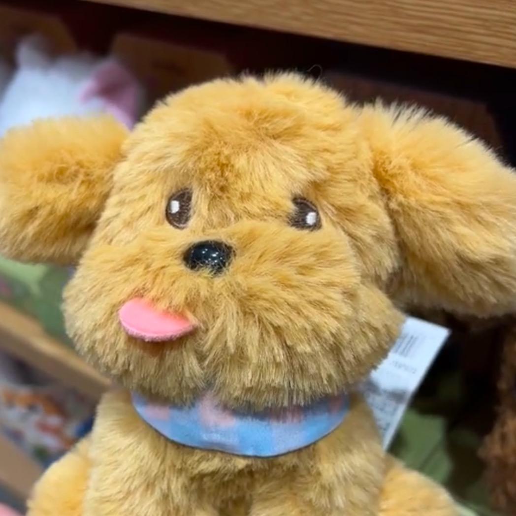 重生之我在手作店上班