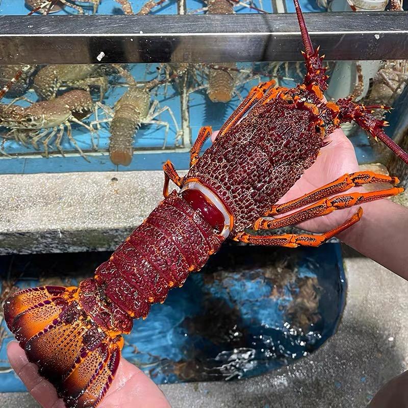 鲜享时光海鲜水产