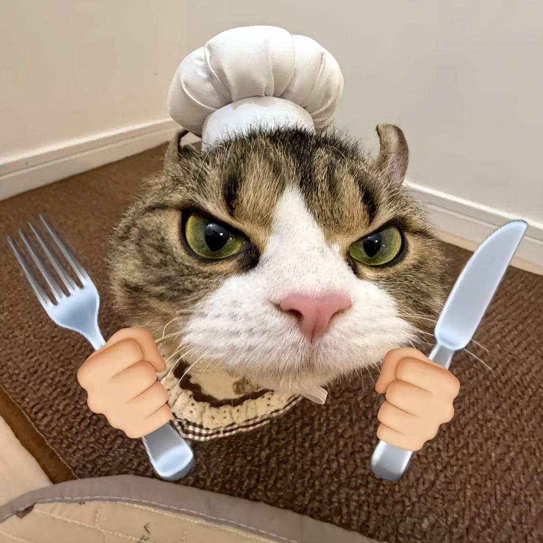 小猫不吃鱼