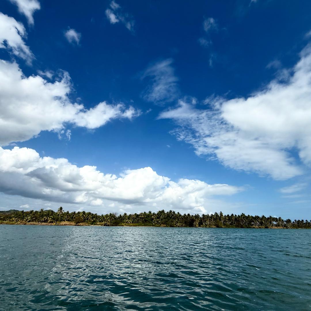 星尘璀璨-乐📷