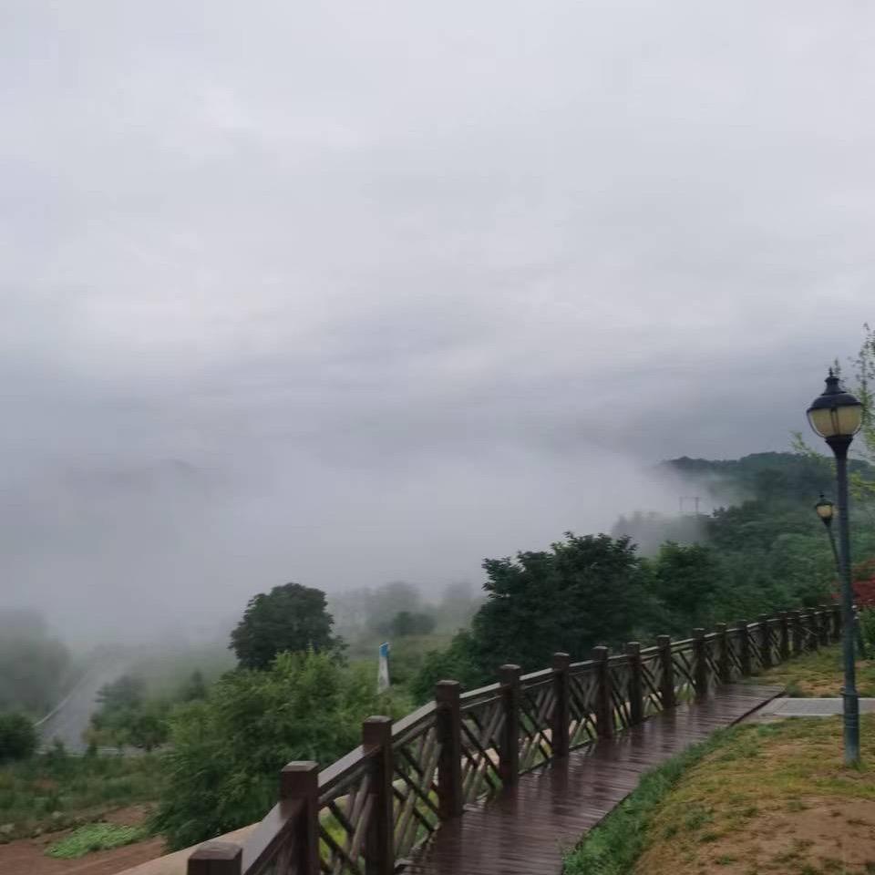 ～风轻云淡～