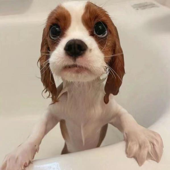 我不是忧郁王子，