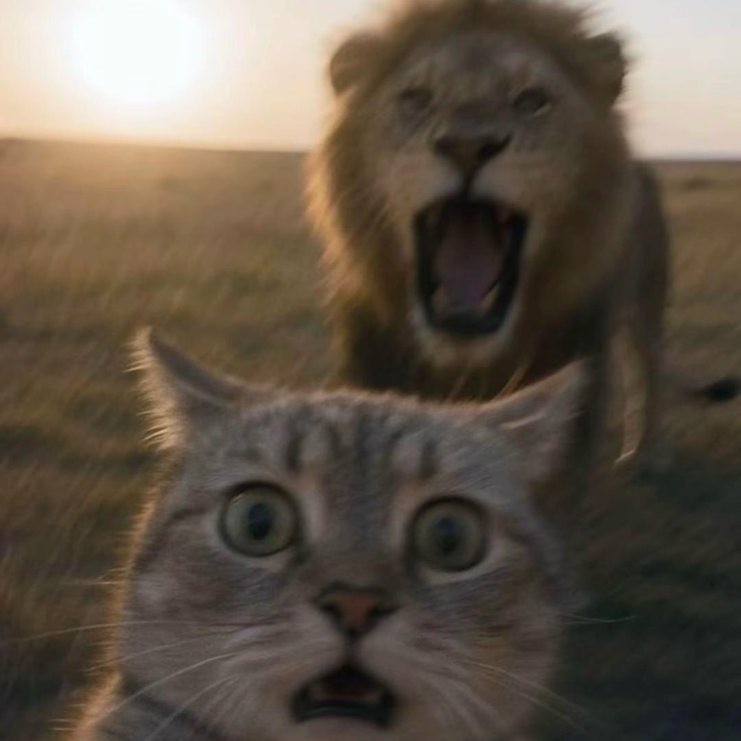 重生之我不想干财务，只想拧螺丝0v0