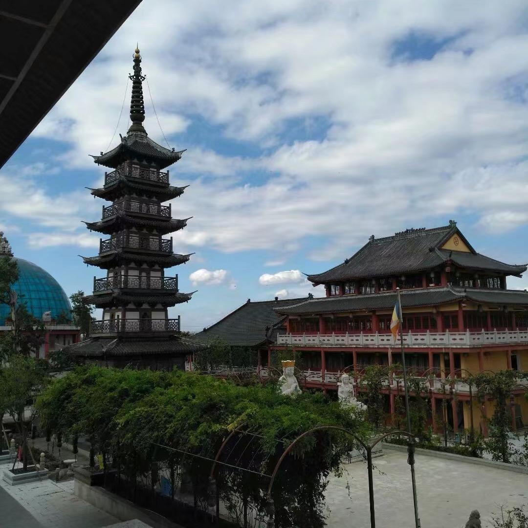 缘在菩提心