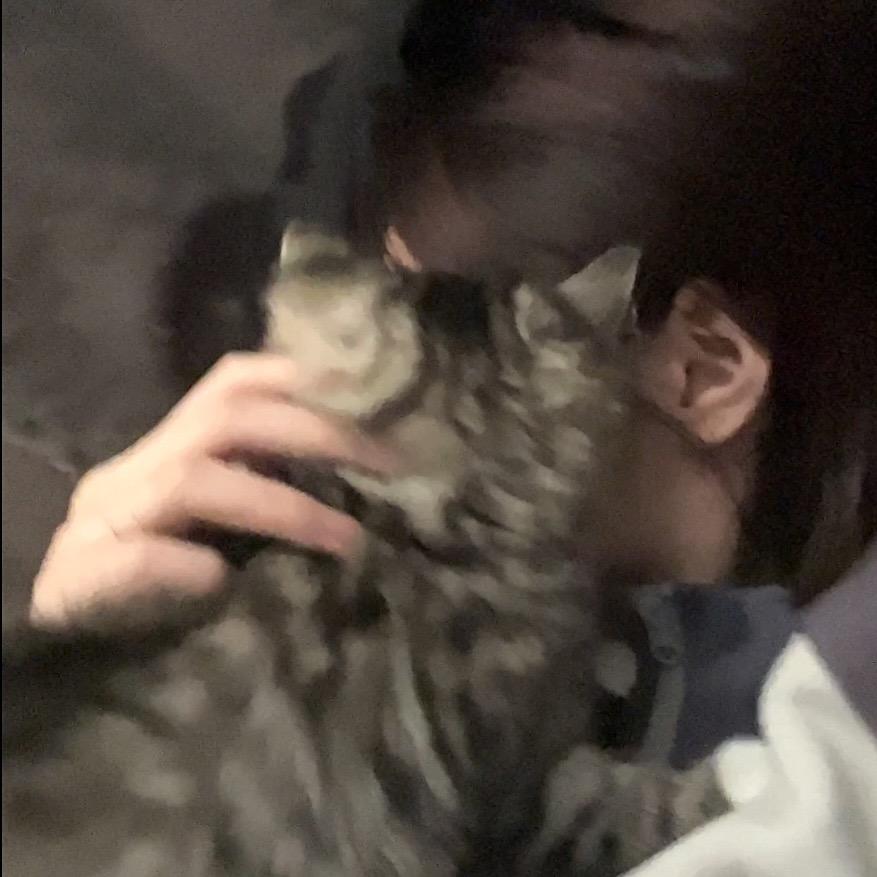 🦷的