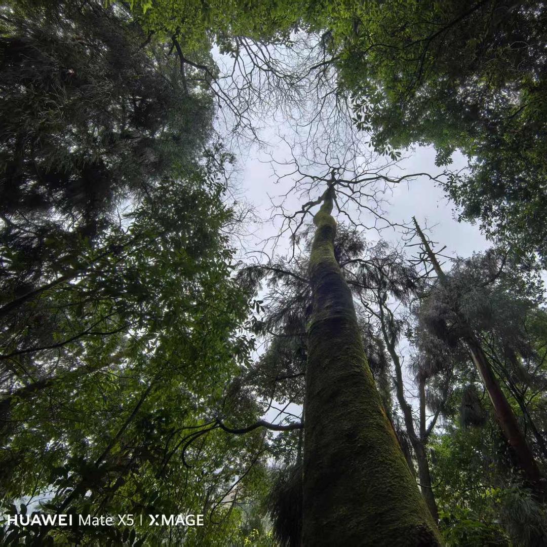 黄豆花田间菜馆(世邦欧郡店)官方号