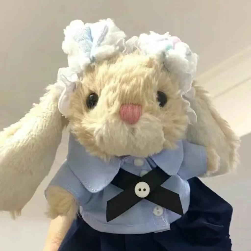 little xx小   鹅