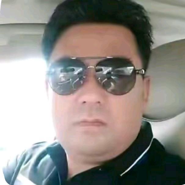 孤独的沙漠雄鹰