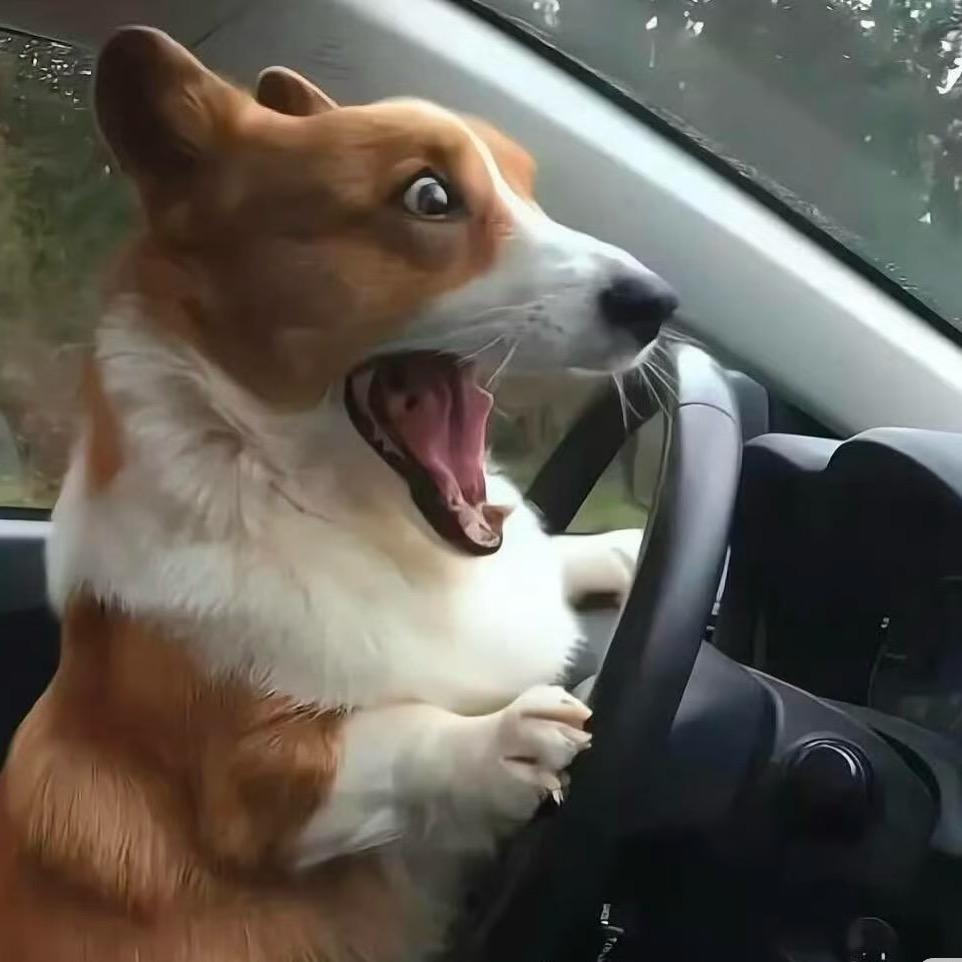匹诺曹