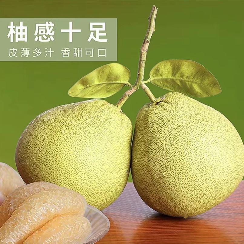 小鲤鱼水果批发