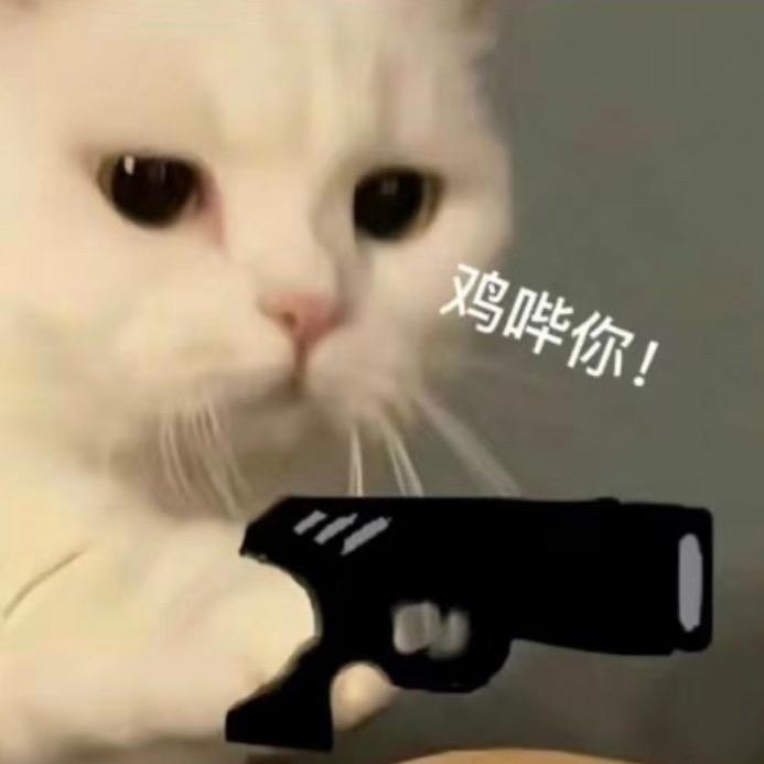 🤍鱼软软🤍