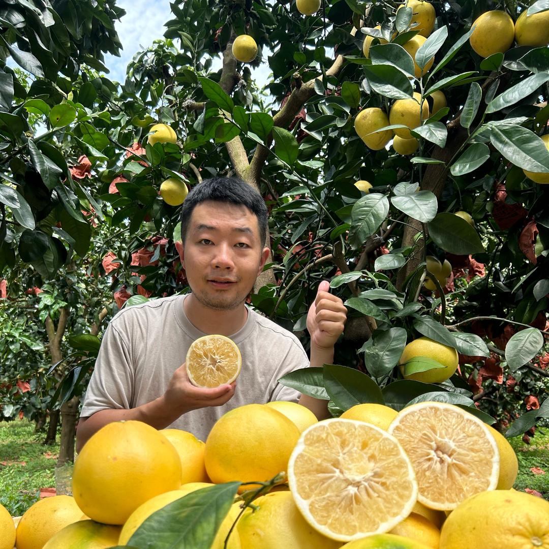 老三爱吃水果