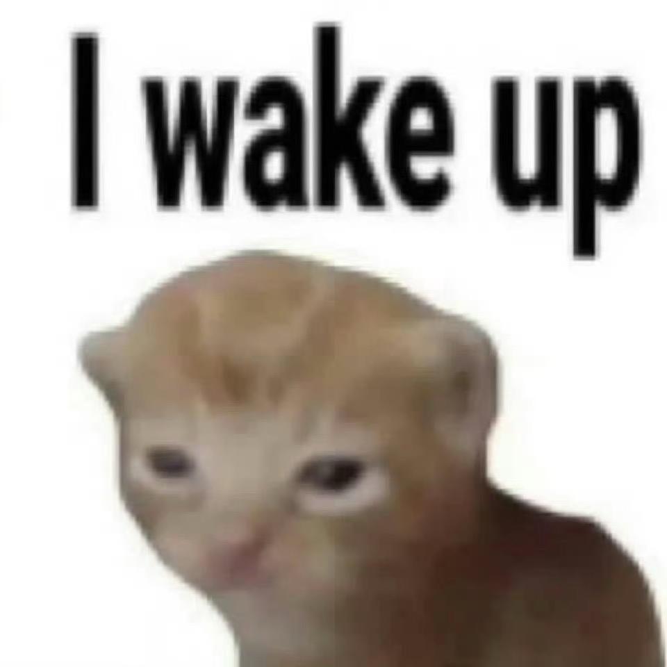 媛媛不圆