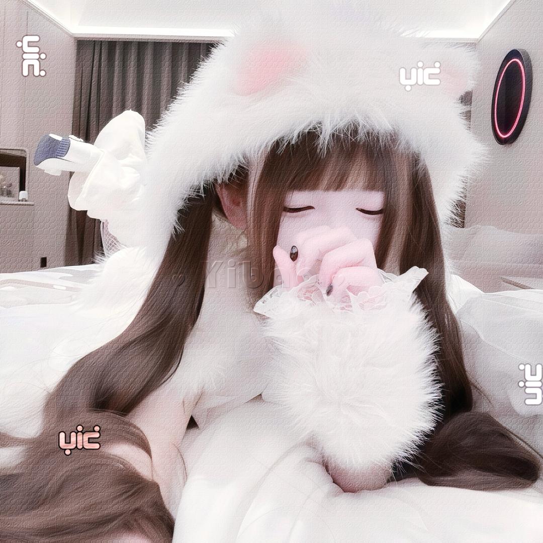 宅只伊