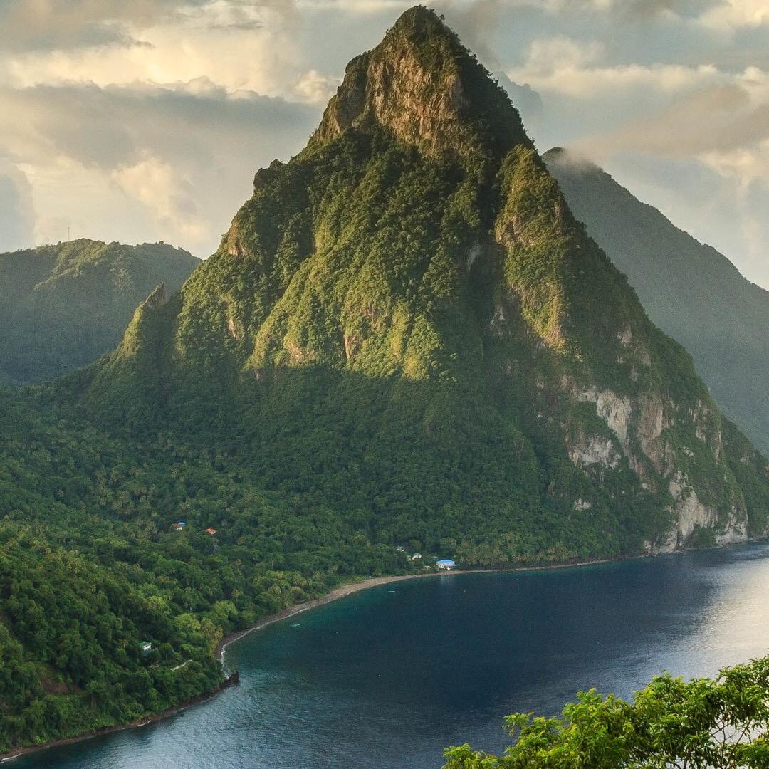 💞ঞ珍隆₅₂₀名茶💞࿐