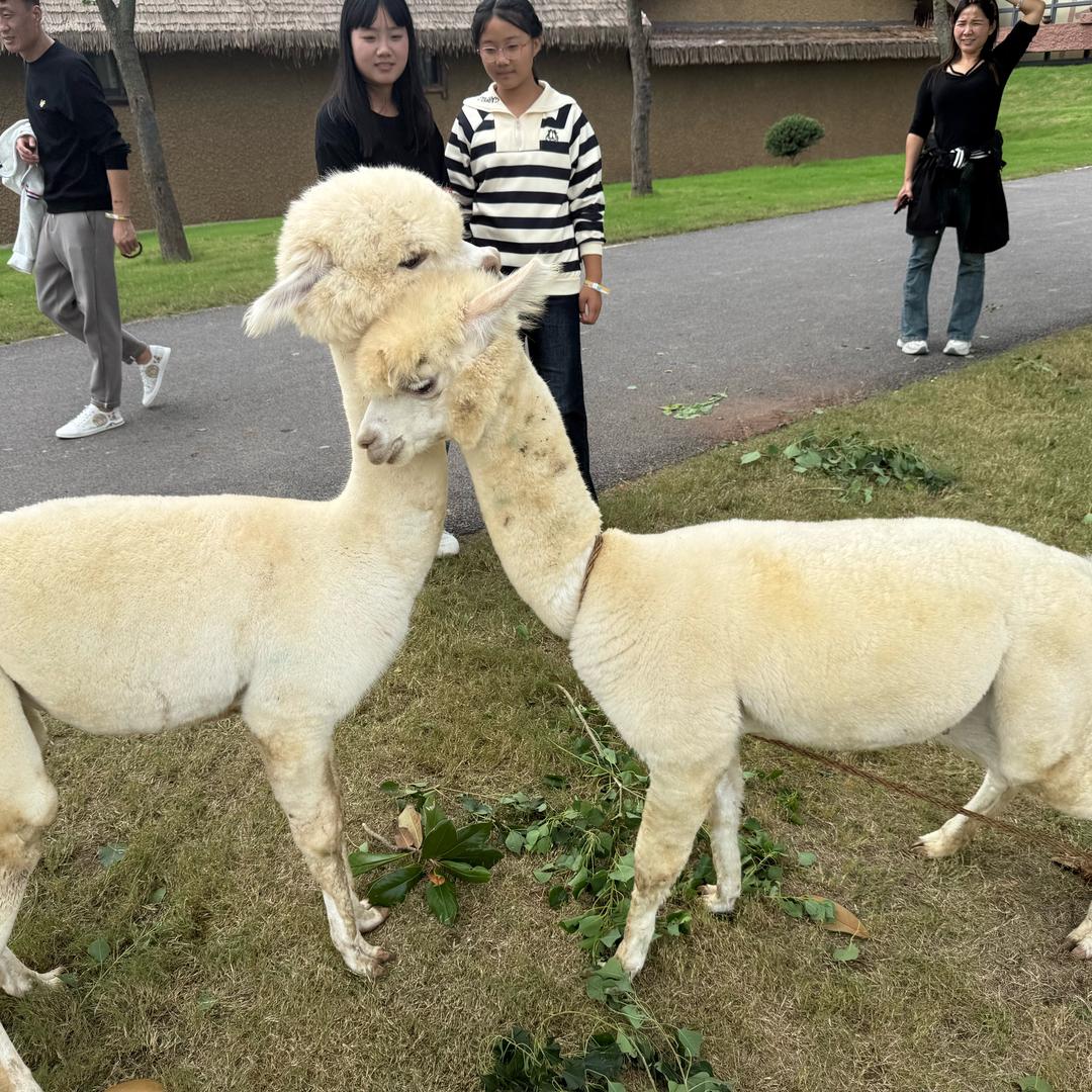 再也不见