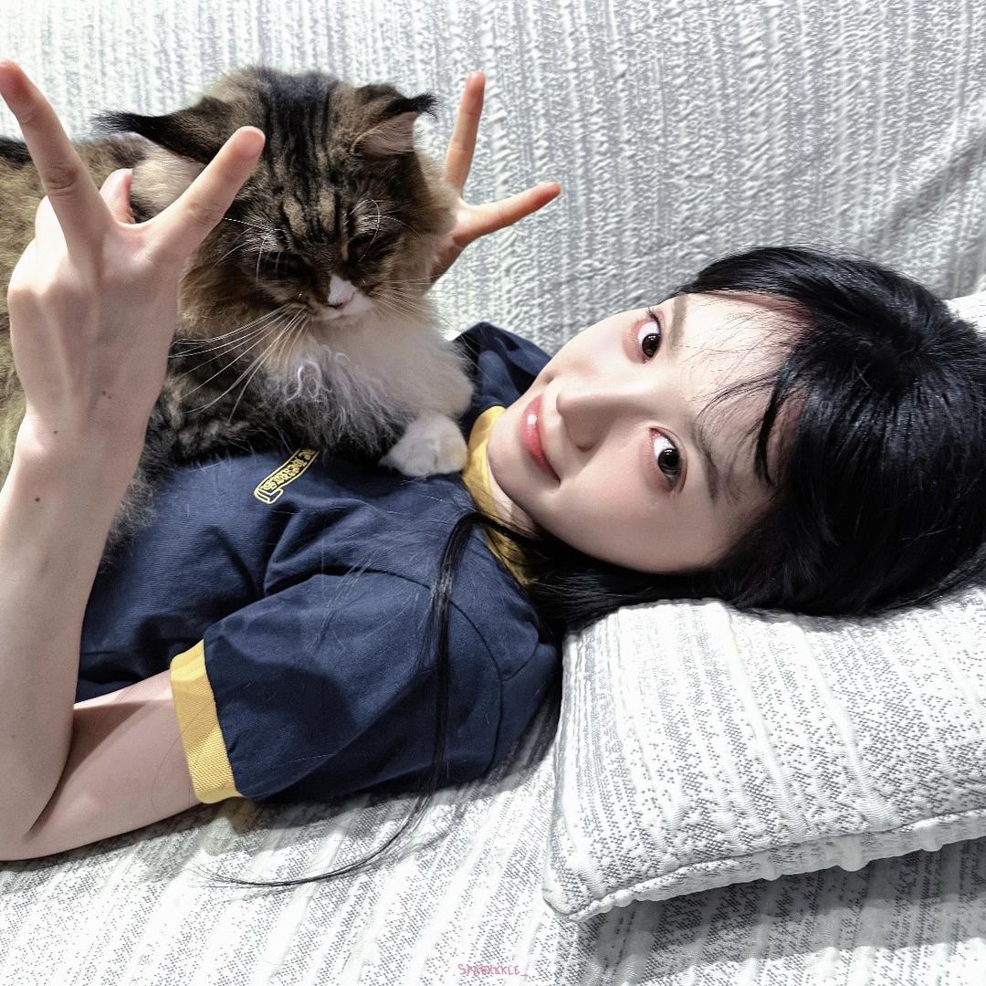 一天死八个领导