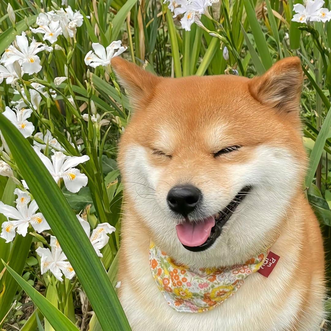 阳丶丶丶
