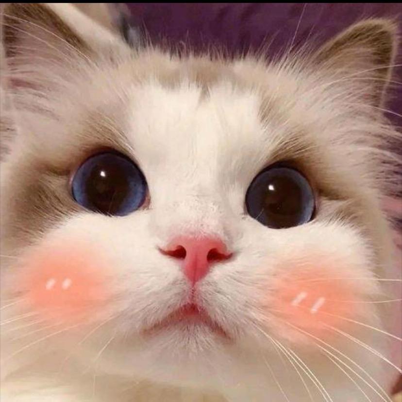 🥀ঞ淡然一笑₅₂₀💞࿐