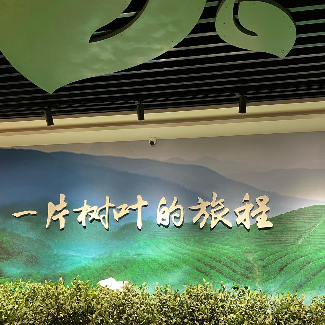 沉默是金12