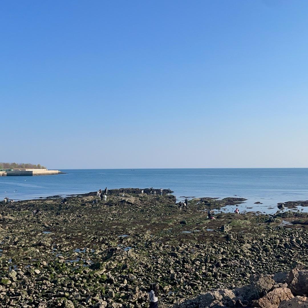 梁ོꦿృ༊燕儿