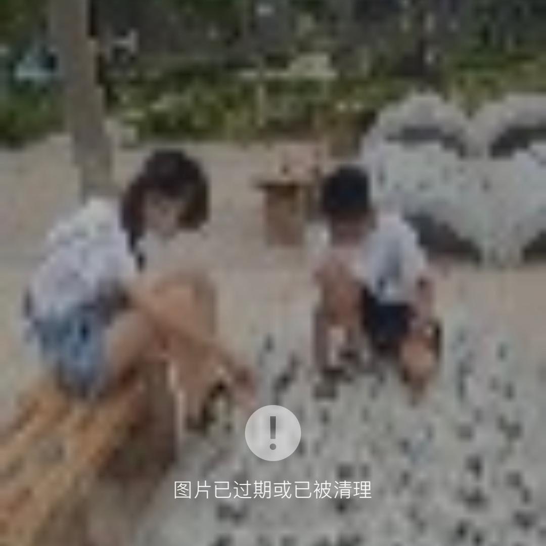 两只猛虎🐯
