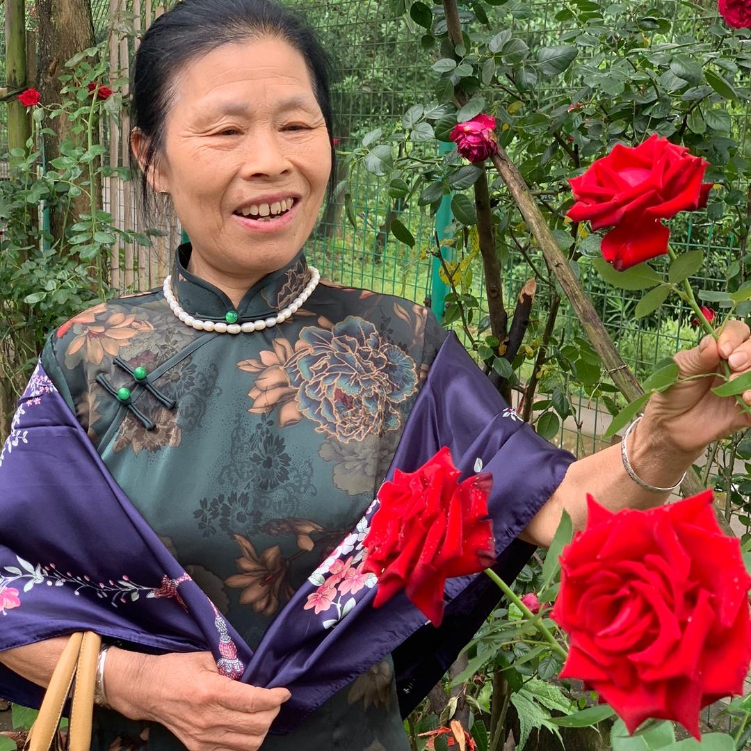 花开富贵🌹