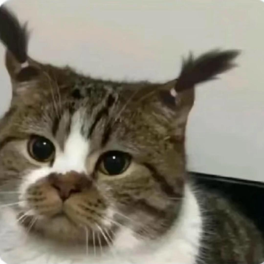 他奶奶个腿