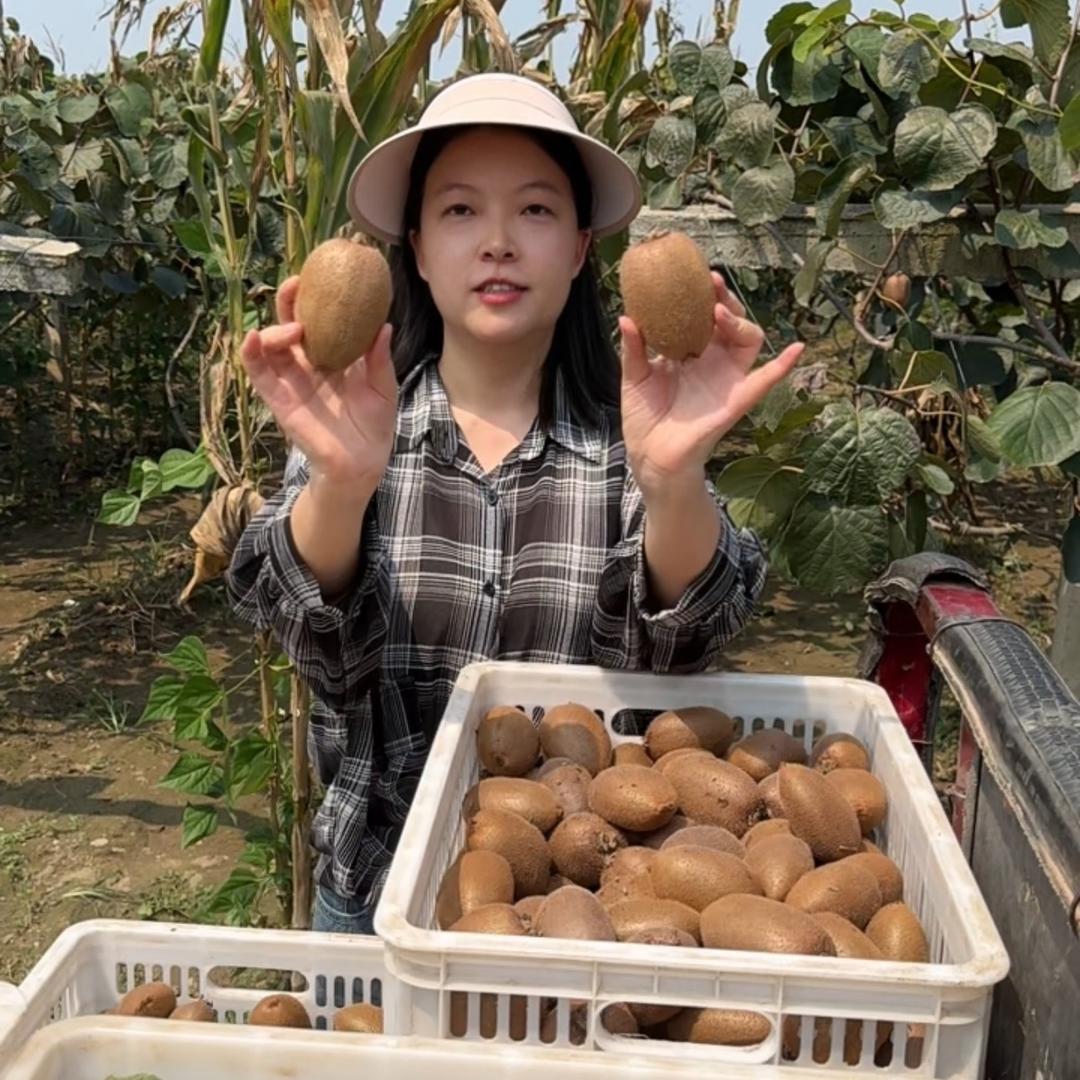 大杨猕猴桃